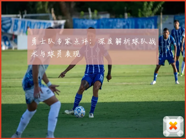勇士队专家点评：深度解析球队战术与球员表现
